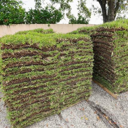 SodStacks of grass sod arranged neatly on a gravel surface, ready for installation. Green layers contrast with the dark soil beneath, creating a fresh, natural look. Trees in the background.